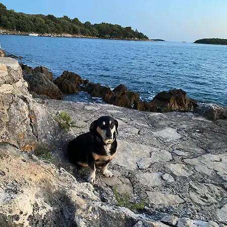 Relax Grazia Funtana